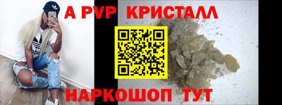 твердый Кингисепп