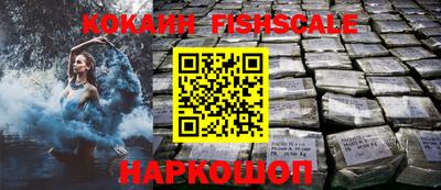 твердый Кингисепп
