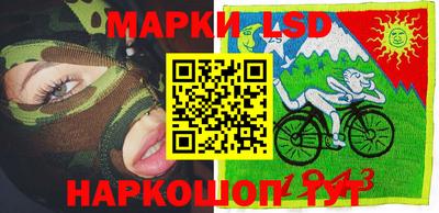 твердый Кингисепп