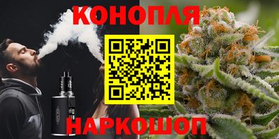 твердый Кингисепп