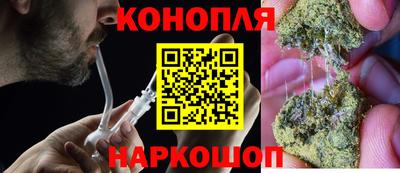 твердый Кингисепп