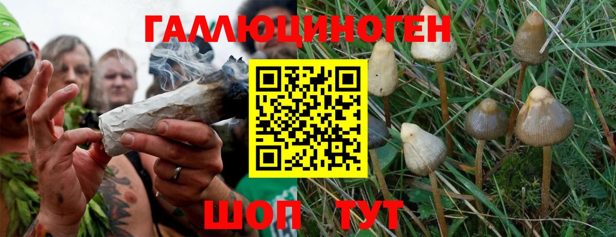 Топки  Псилоцибиновые грибы Magic Shrooms  где найти   Псилоцибиновые грибы Magic Shrooms  Вход с VPN 