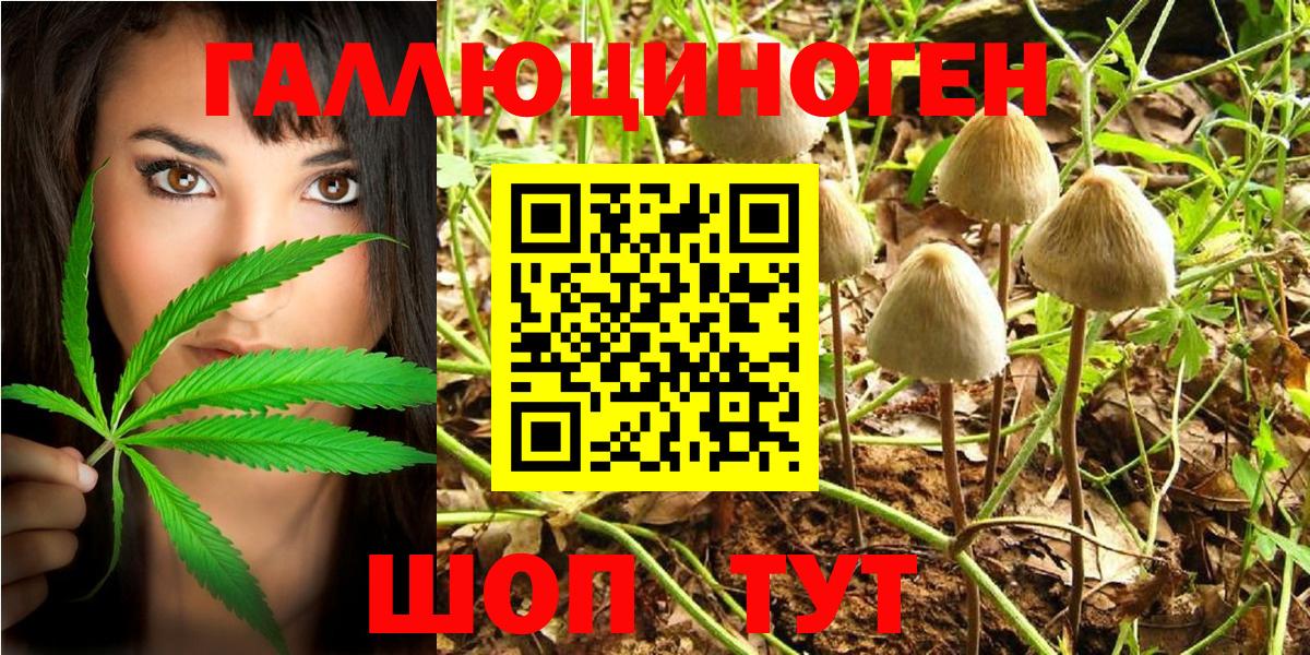 Псилоцибиновые грибы MAGIC MUSHROOMS Топки